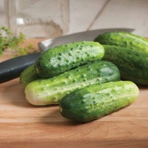 cucumber – h19 little leaf