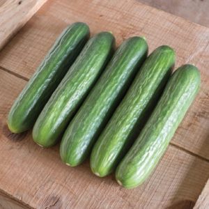 cucumber – Katrina