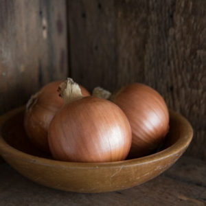 onions – new york early