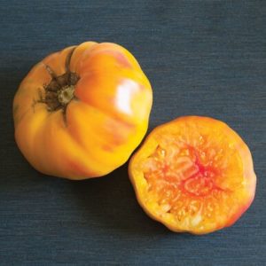 tomatoes – striped german yellow