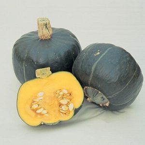 squash – buttercup