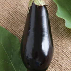 eggplant – traviata