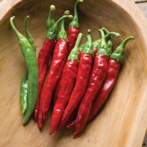 hot pepper – red rocket