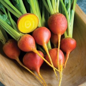 Beet – Touchstone Gold