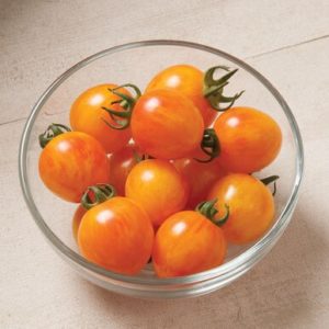 tomatoes – sunrise yelo/ cherry