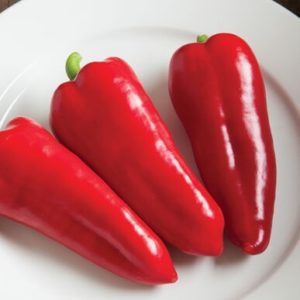 peppers – Cornito Rosso (red elongated)