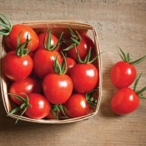 tomatoes	cherry bomb