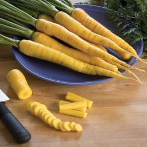 carrots – Yellow stone