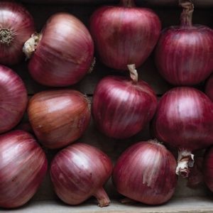 onions – Rossa di milano
