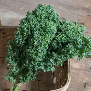 kale – Darkibor