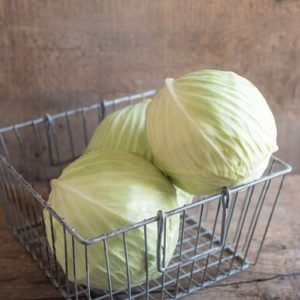 Cabbage – Typhoon
