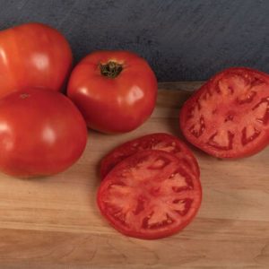 tomatoes – beefsteak galahad
