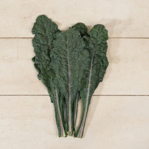 kale – Dazzling blue