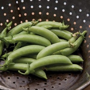 Peas – Sugar snap