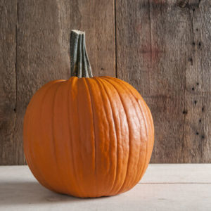 pumpkin – tom fox medium
