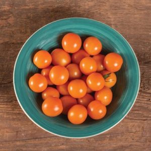 tomatoes – citrine orange cherry